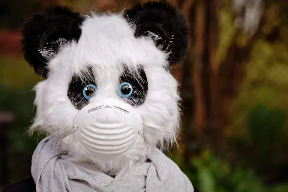 BetOriginal Kasiino Tugi